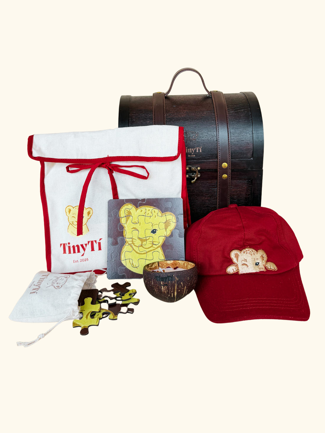 TinyTI Gift Set