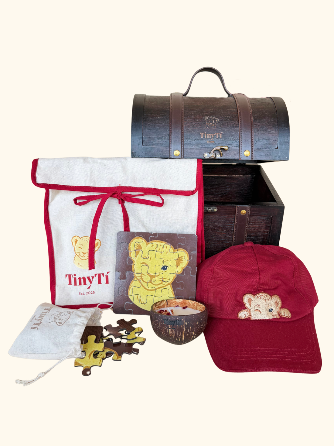 TinyTI Gift Set